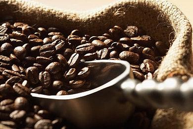 《艾尔登法环》黑胶唱片发售：全球限量6999套